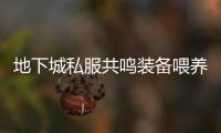地下城私服共鸣装备喂养全攻略