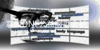 掌握DNF公益服副会长设置的技巧与窍门