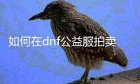 如何在dnf公益服拍卖行收藏装备？