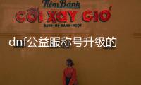 dnf公益服称号升级的终极指南