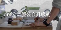 dnf公益服公会升级的步骤与技巧