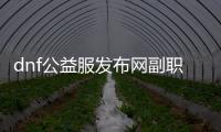 dnf公益服发布网副职业摆摊的五大技巧