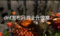 dnf发布网战士升级常见问题解答